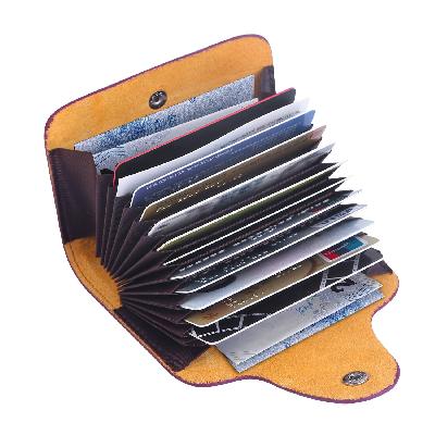 Pocket Card Holder ( Curvy Design) (for Credit Cards)