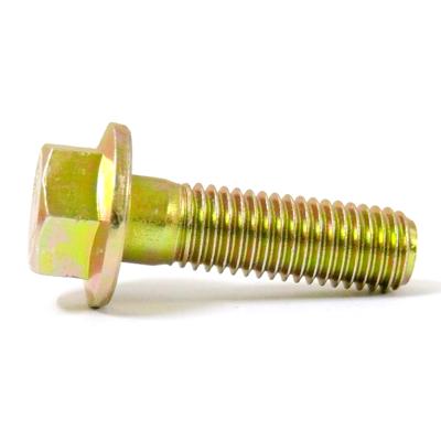 Zinc Coated Screw