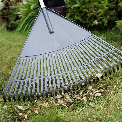 Leaf Rake