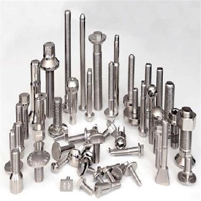 SS Fasteners