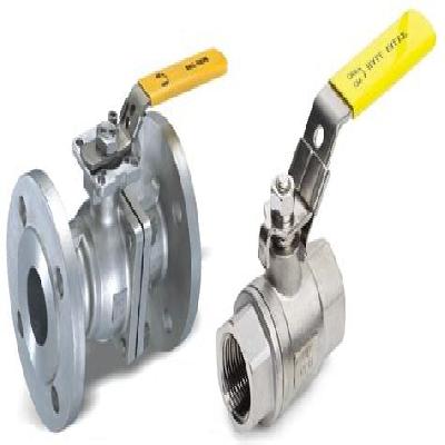 Two Piece SS Ball Valve