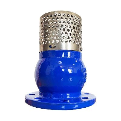 Foot Valve