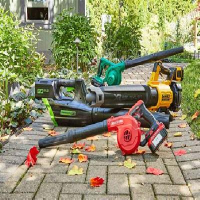 Electric Blowers
