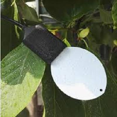 Leaf Wetness Sensor