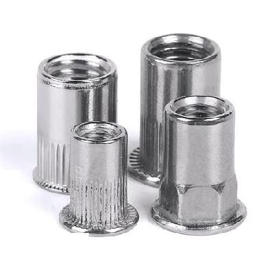 SS Rivet Nuts