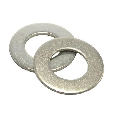 SS Washer