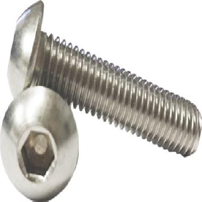 Button Fastener Head