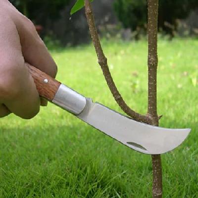 Roncola Grafting Knife