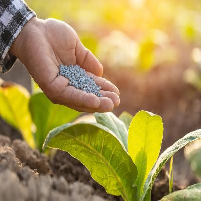 Fertilizers