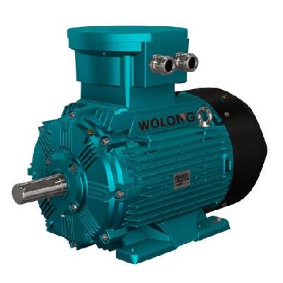 Crompton Flame Proof Motor 1HP