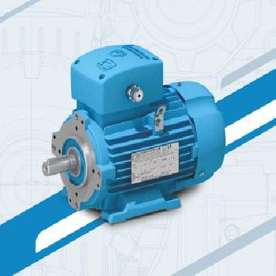 Rotomotive 1.5HP Motor