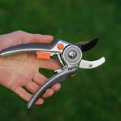 Pruning Secateur Anvil DS 1023