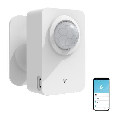 Motion Detection Sensor