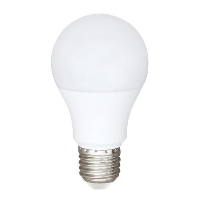 9W AC DC Bulb