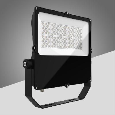 LED Flood Light