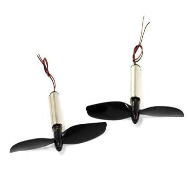 Coreless Motor With Propeller Pair