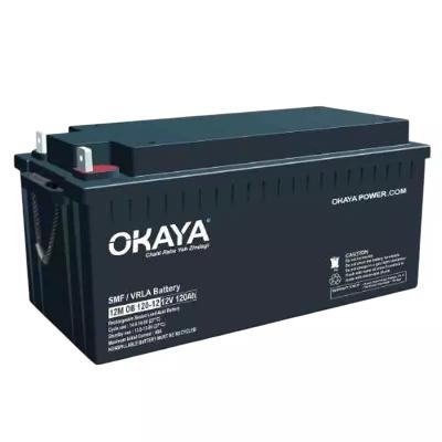 UPS SMF Battery