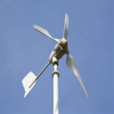 Domestic Wind Mill