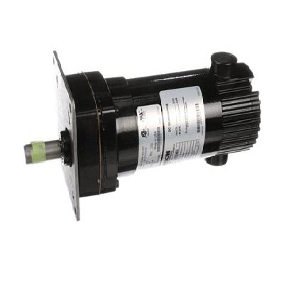 Globe DC Gear Motor