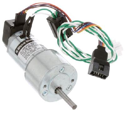 Globe DC Motor with Encoder