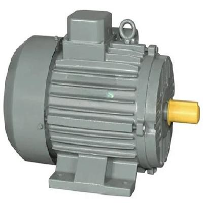 Maxon A  Max Single Phase Induction Motor