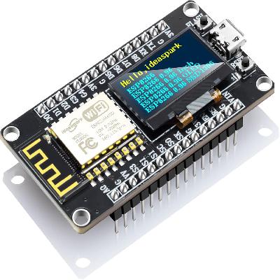 Development Board
