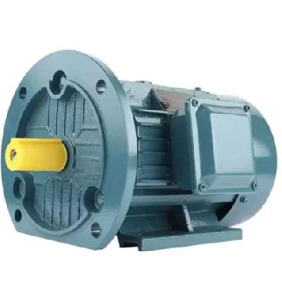 Cast Iron AC Geared Motor