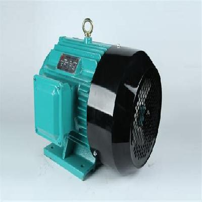 Three Phase AC Synchronous Motor