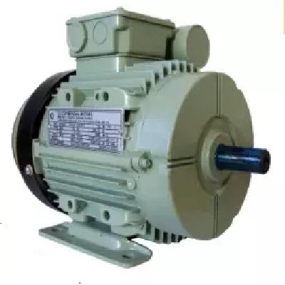 0.5 HP Crompton Foot Mount Motor
