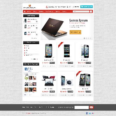 Website Designing