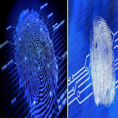 Fingerprint Analysis Services