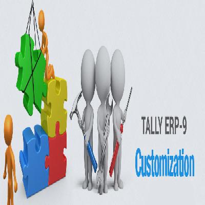 Tally Customization Service