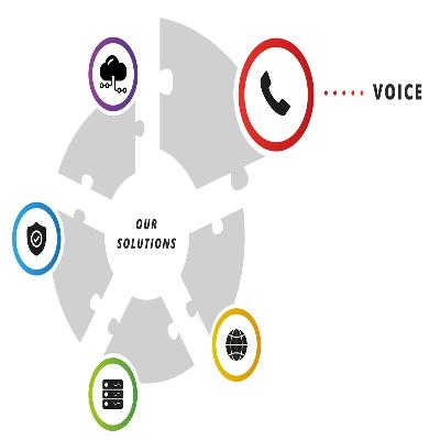 Voice Solution