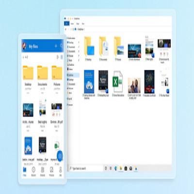 Windows Data Backup Service