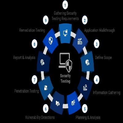 Website Security Testing Service