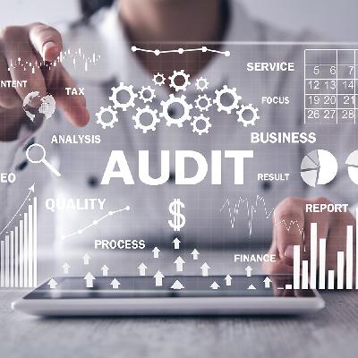Licensing And Audits Service