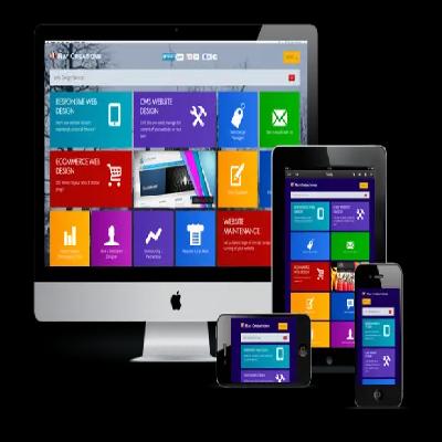 Website Development Service