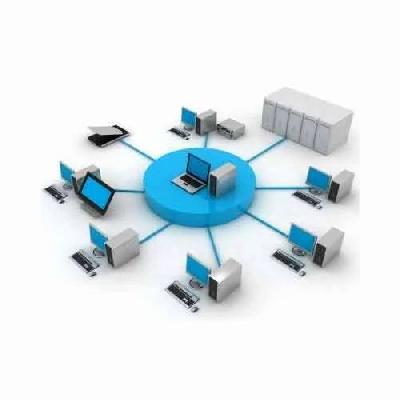 LAN Networking Services