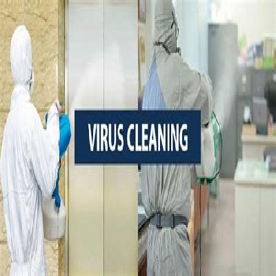 Virus Cleaning And Service