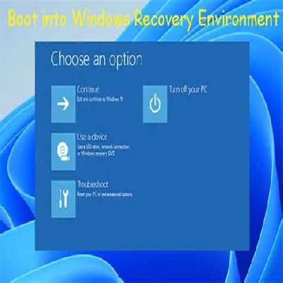 Windows Recovery Service
