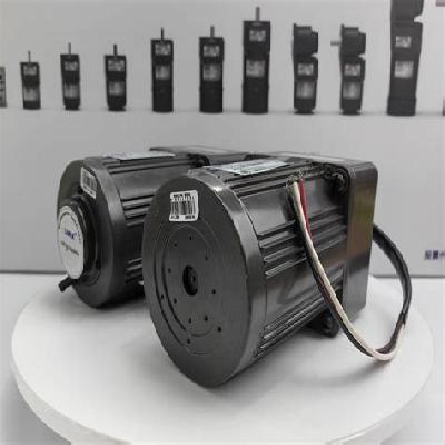 40 Watt Motor
