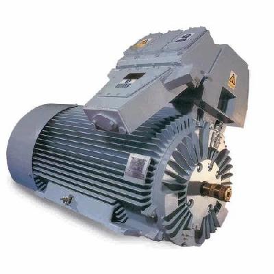 Crane Duty Motor