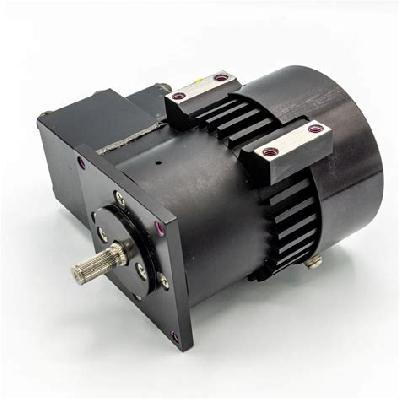 Dual Speed Motor