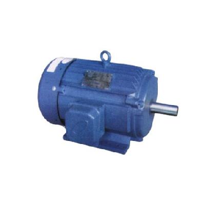 Standard Electric Motor