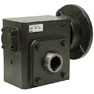 Cast Iron Worm Gear Head