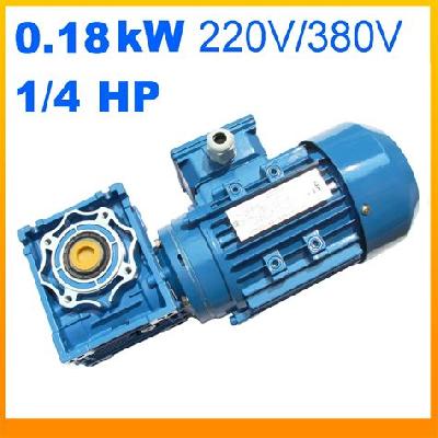 Single and Three Phase Worm Geared Motor