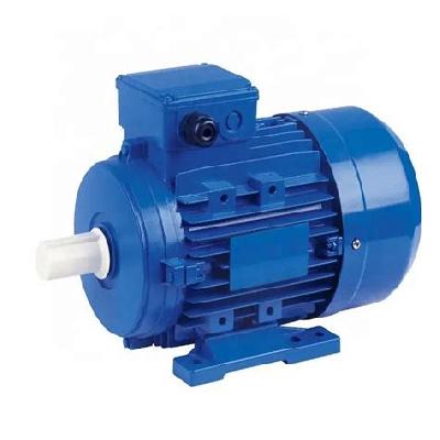 AC Squirrel Cage Motor 3HP