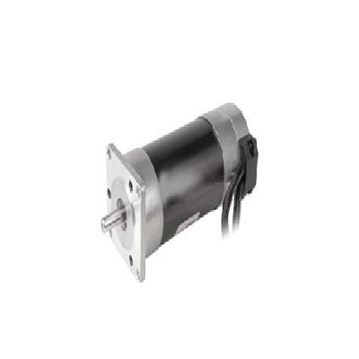 BLM57180 BLDC Servo Motor