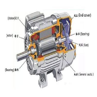 Slip Ring Induction Motor