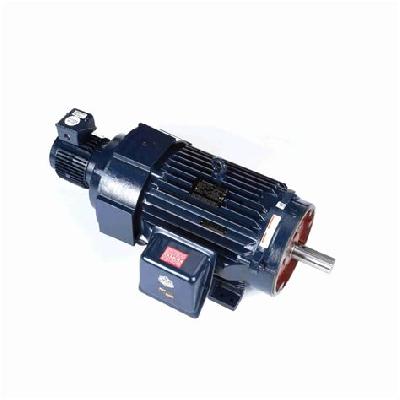 Variable Speed Motor